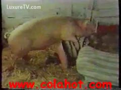 Cock deprived girlfriend cheats on her guy with an beast